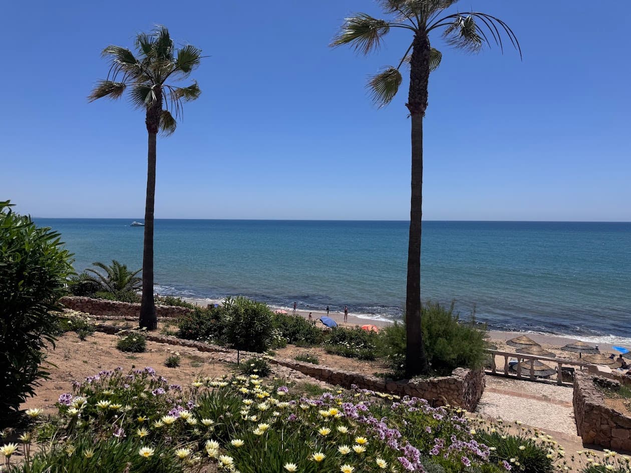 Ian Elliott Discovers Why Portugal Is Perfect for Families photo 19