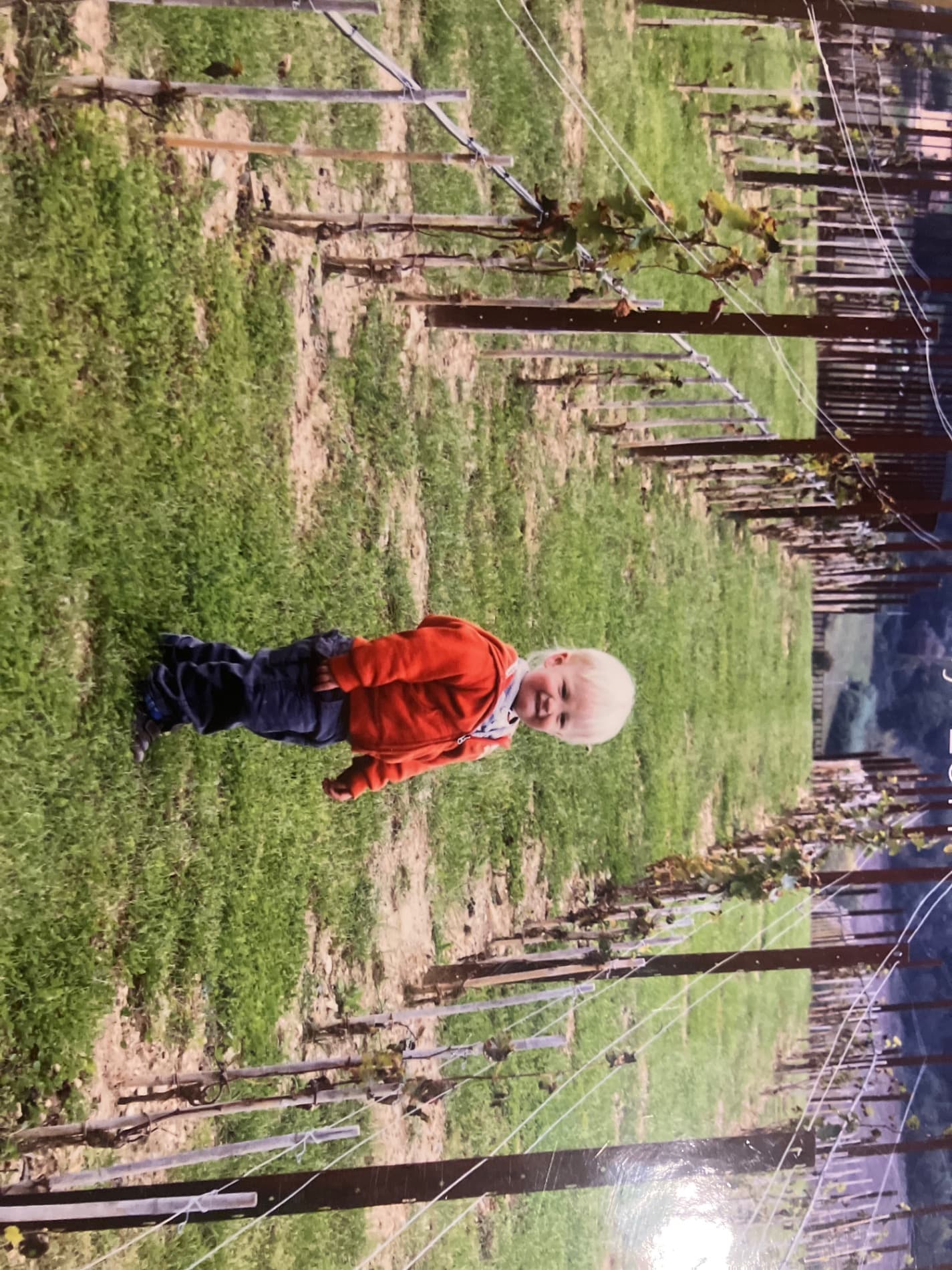 Italy — Cathy Scott's travel story