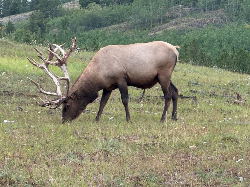 Craig White Finds Late August is Alaska's Best-Kept Secret