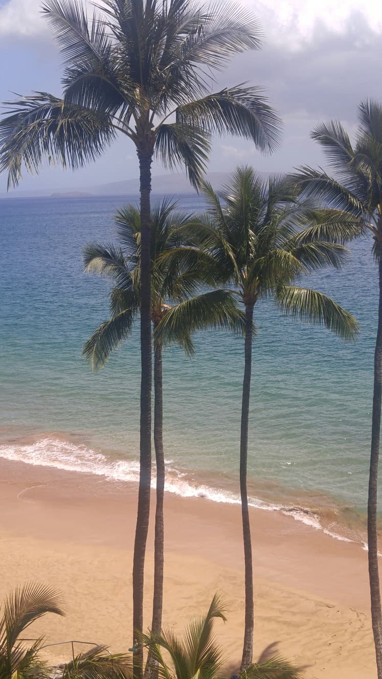 Tall palm trees frame a sandy Puerto Vallarta beach with turquoise waves and cloudy sky overhead