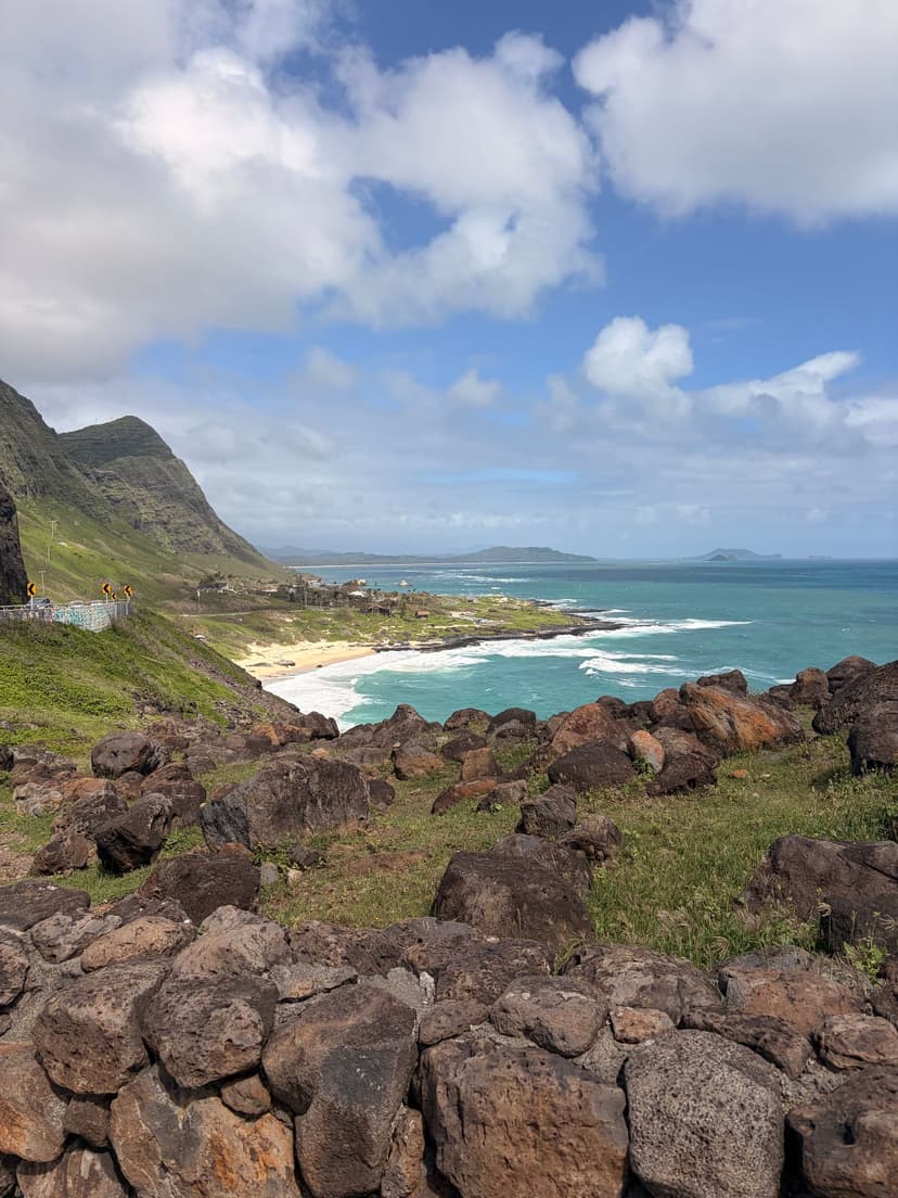 Misti's Solo Adventure in Waikiki: Fresh Fish and Aloha Spirit