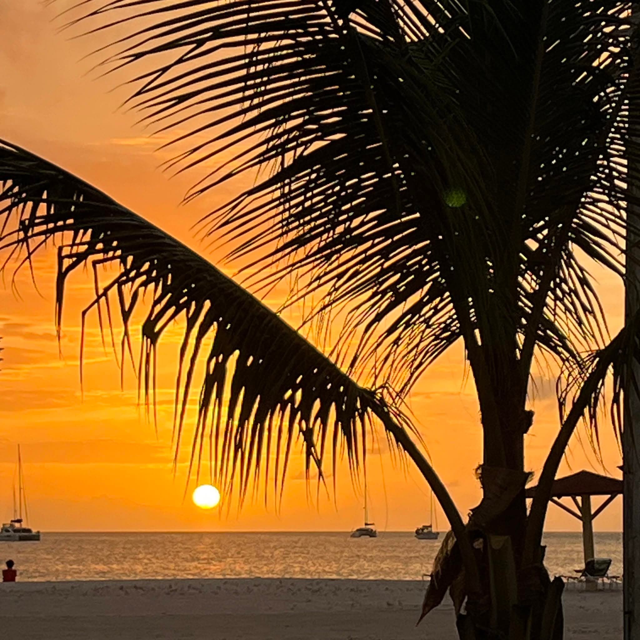 Palm fronds silhouetted against an orange sunset over Antigua's calm waters with sailboats anchored offshore