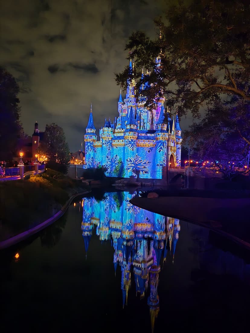 Heather O'Connell's Christmas at Walt Disney World: Pure Magic