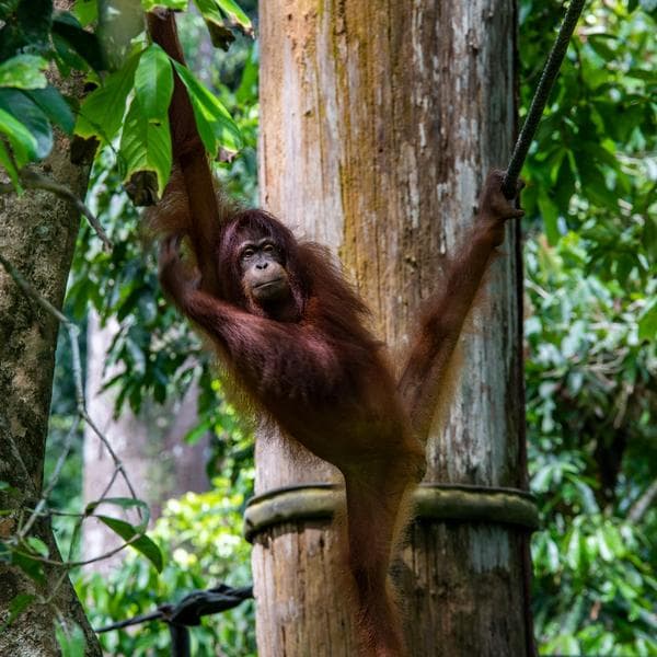 Malaysia — Ronnie Lee's travel story