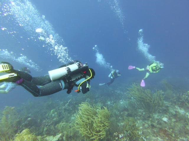 Two scuba divers explore a coral reef in Curaçao, with one diver on the left carrying equipment and another on the right, surrounded by blue water