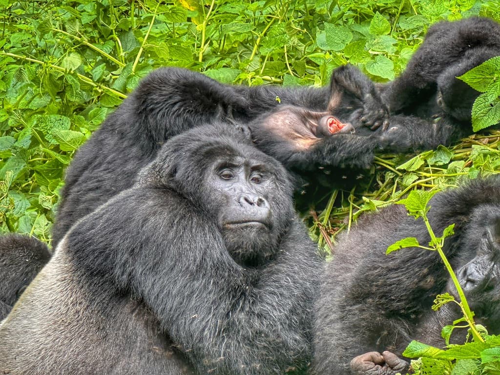 East Africa — Shari Lukens's travel story